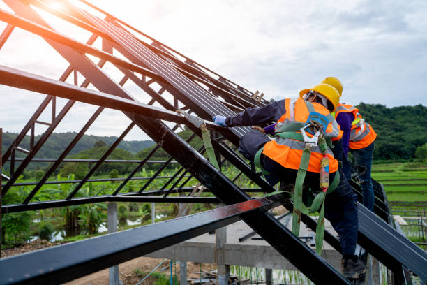 Best Roof Gutter Cleaning  in Shelton, NE