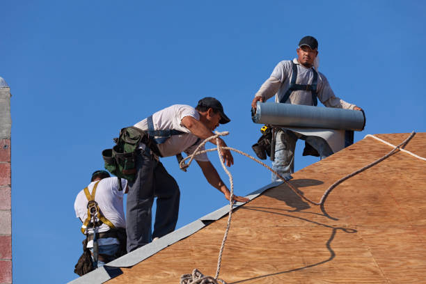 Professional Roofing Contractor in Shelton, NE